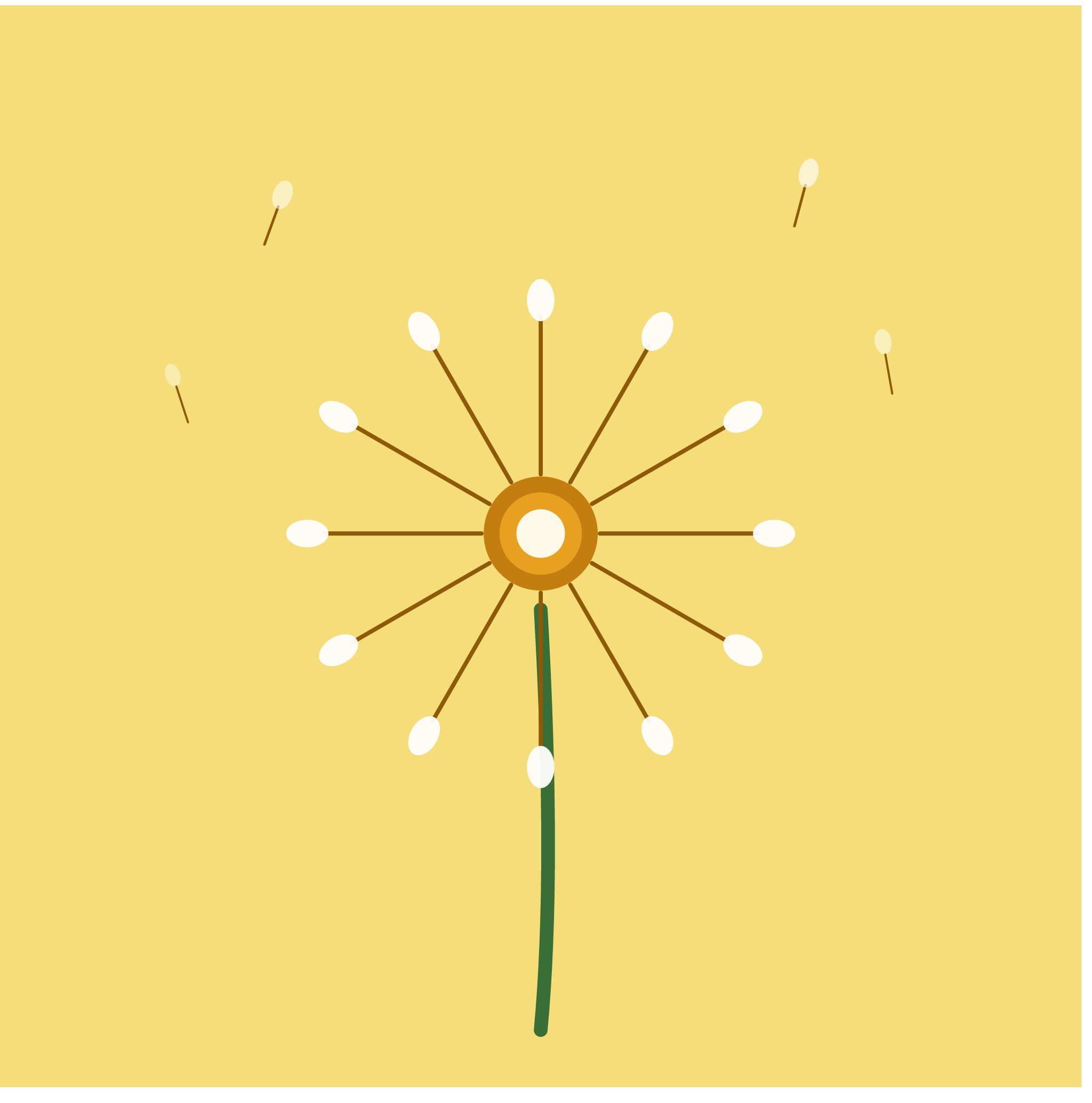 Dandelion